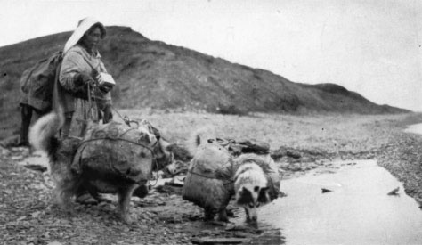 Иллюстрация к книге — Белый эскимос [i_043.jpg]