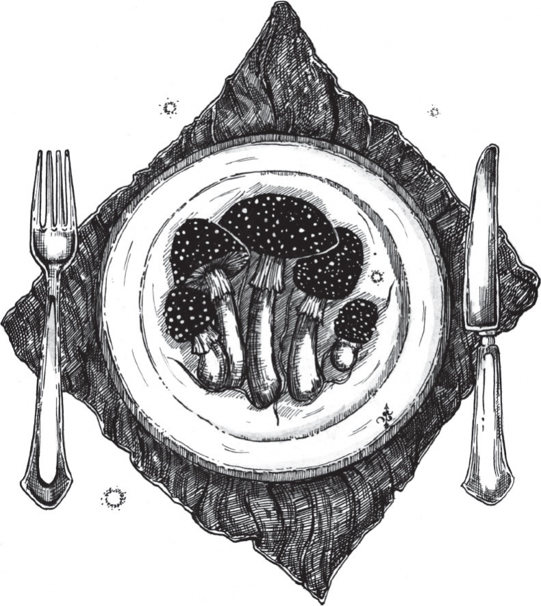 Иллюстрация к книге — Яды: вокруг и внутри. Путеводитель по самым опасным веществам на планете [i_001.jpg]