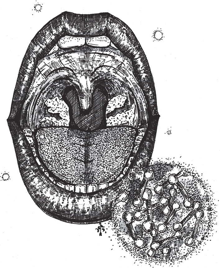 Иллюстрация к книге — Яды: вокруг и внутри. Путеводитель по самым опасным веществам на планете [i_053.jpg]