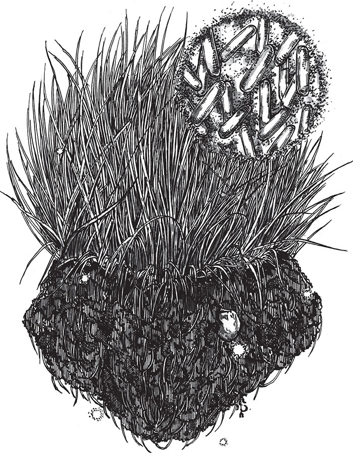 Иллюстрация к книге — Яды: вокруг и внутри. Путеводитель по самым опасным веществам на планете [i_056.jpg]