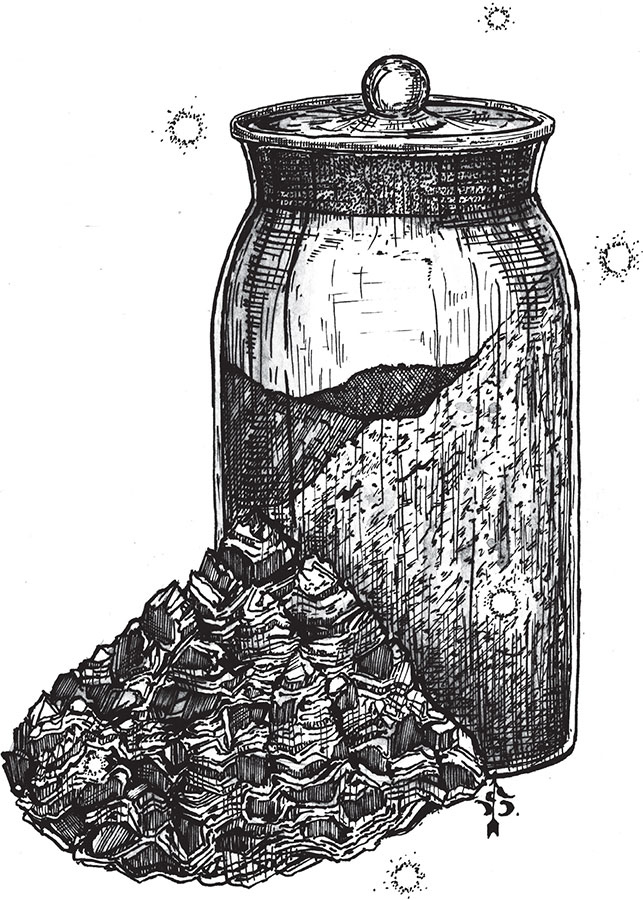 Иллюстрация к книге — Яды: вокруг и внутри. Путеводитель по самым опасным веществам на планете [i_085.jpg]