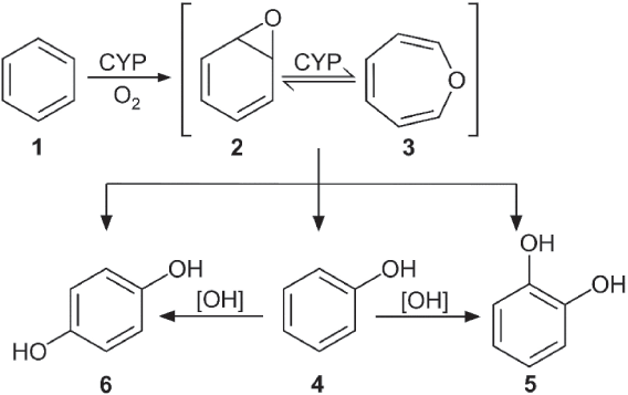 Иллюстрация к книге — Яды: вокруг и внутри. Путеводитель по самым опасным веществам на планете [i_091.jpg]