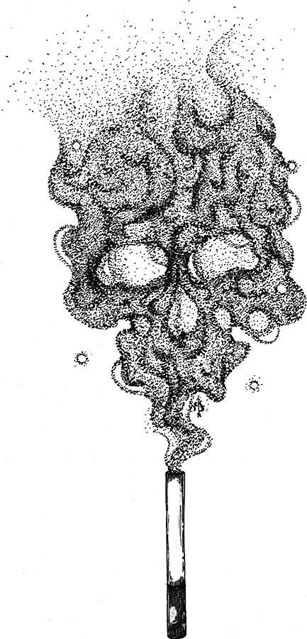 Иллюстрация к книге — Яды: вокруг и внутри. Путеводитель по самым опасным веществам на планете [i_092.jpg]