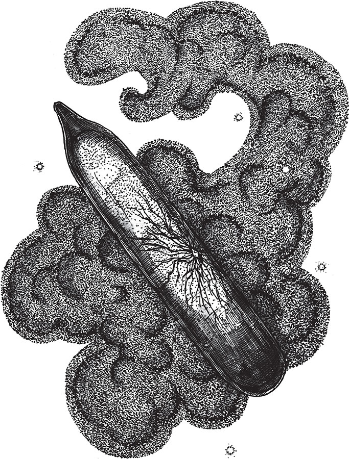 Иллюстрация к книге — Яды: вокруг и внутри. Путеводитель по самым опасным веществам на планете [i_096.jpg]