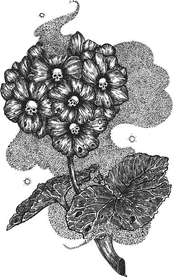 Иллюстрация к книге — Яды: вокруг и внутри. Путеводитель по самым опасным веществам на планете [i_108.jpg]