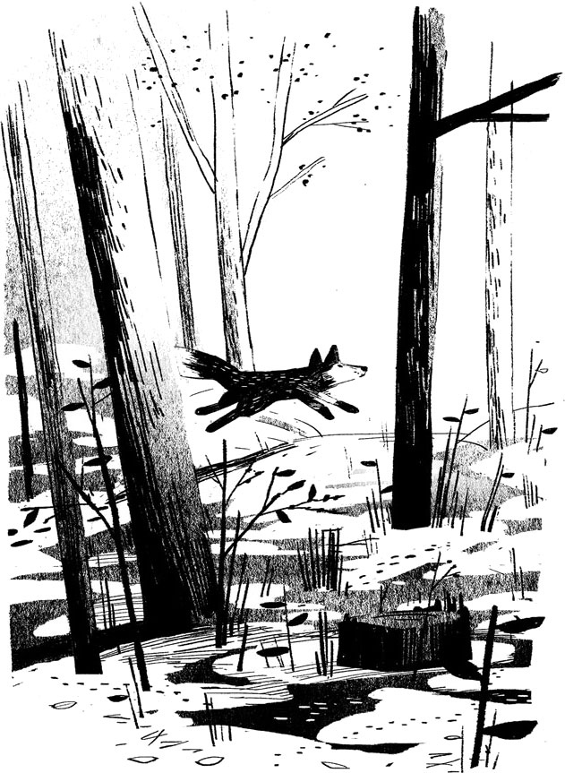 Иллюстрация к книге — Пакс. Дорога домой [i_003.jpg]