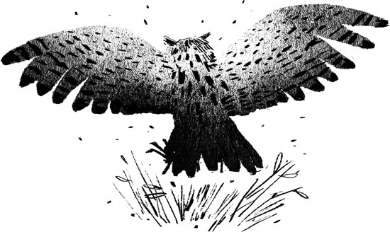 Иллюстрация к книге — Пакс. Дорога домой [i_008.jpg]