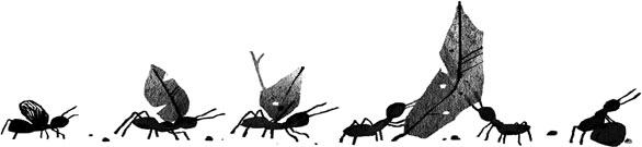 Иллюстрация к книге — Пакс. Дорога домой [i_015.jpg]