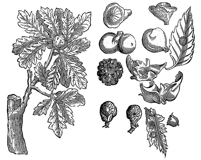 Иллюстрация к книге — Цвет. Захватывающее путешествие по оттенкам палитры [i_007.jpg]