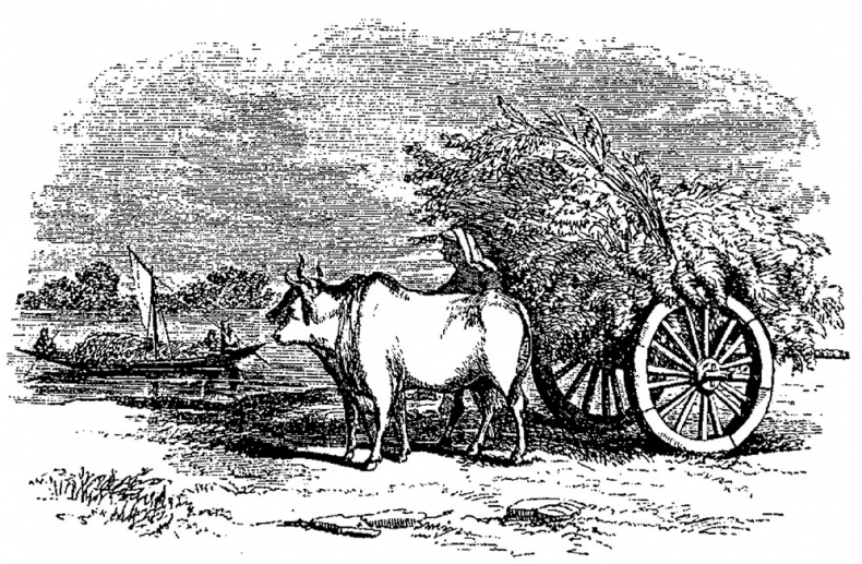 Иллюстрация к книге — Цвет. Захватывающее путешествие по оттенкам палитры [i_020.jpg]