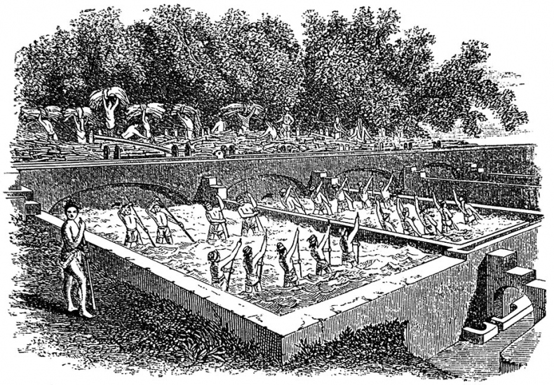 Иллюстрация к книге — Цвет. Захватывающее путешествие по оттенкам палитры [i_021.jpg]