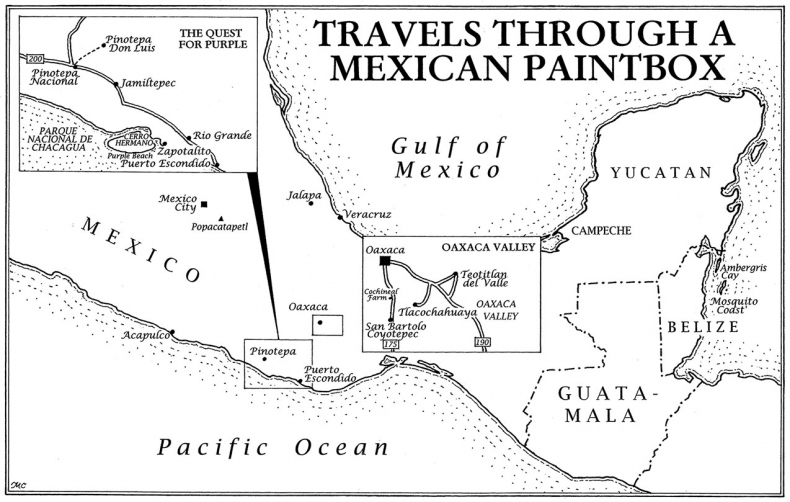 Иллюстрация к книге — Цвет. Захватывающее путешествие по оттенкам палитры [i_024.jpg]