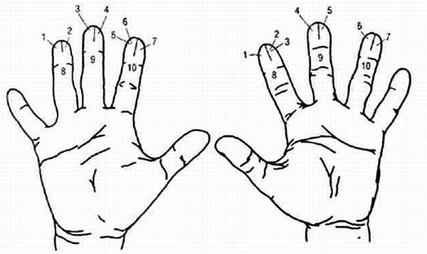 Иллюстрация к книге — Введение в тибетскую медицину. Здоровье и равновесие [_04.jpg]