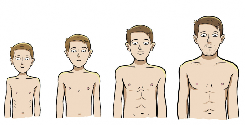 Иллюстрация к книге — Как устроены мальчики. О переменах в росте, весе, голосе, а также о гигиене и питании [i_017.jpg]