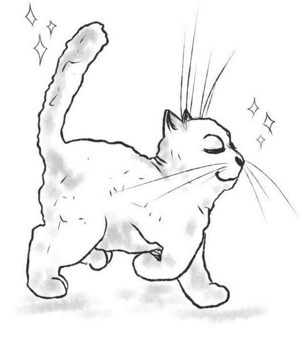 Иллюстрация к книге — На одном языке с кошкой [i_001.jpg]