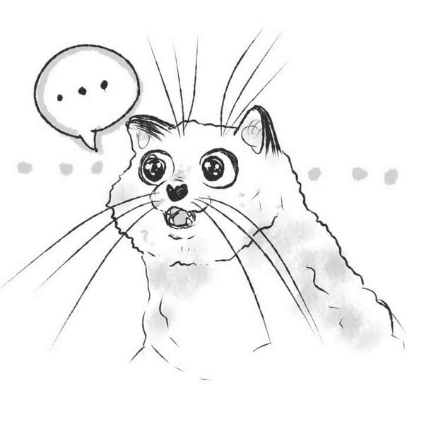 Иллюстрация к книге — На одном языке с кошкой [i_004.jpg]