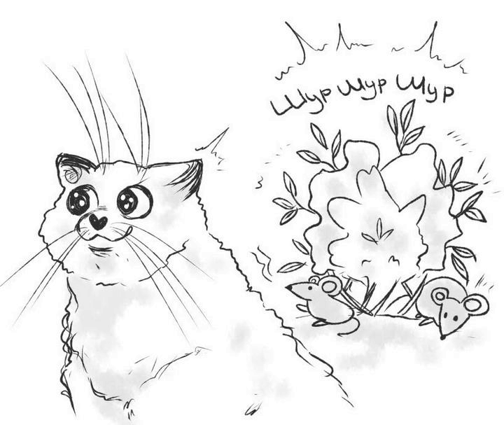 Иллюстрация к книге — На одном языке с кошкой [i_007.jpg]