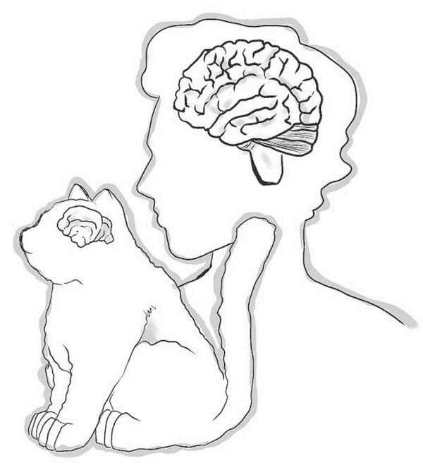 Иллюстрация к книге — На одном языке с кошкой [i_017.jpg]