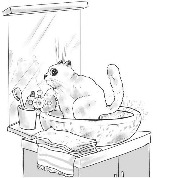 Иллюстрация к книге — На одном языке с кошкой [i_022.jpg]