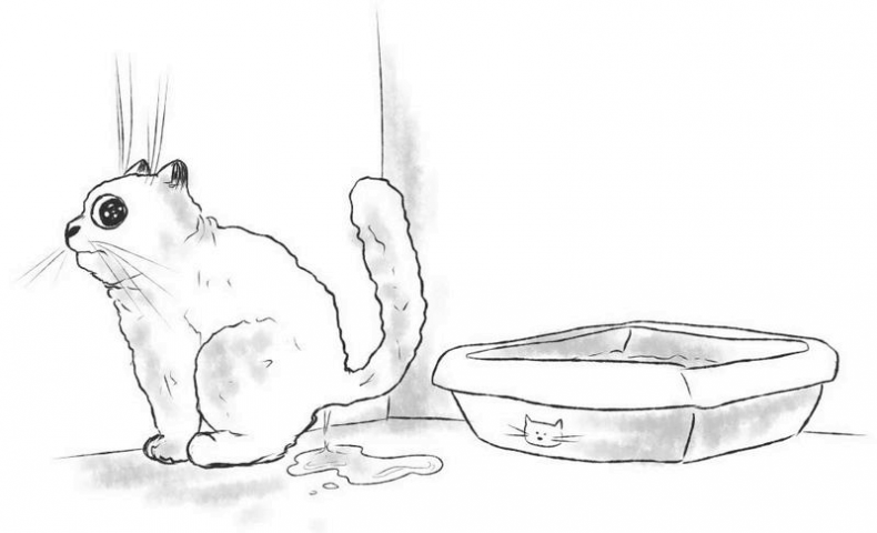 Иллюстрация к книге — На одном языке с кошкой [i_023.jpg]