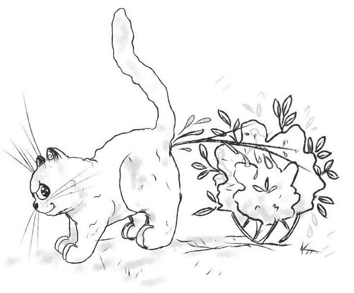 Иллюстрация к книге — На одном языке с кошкой [i_027.jpg]