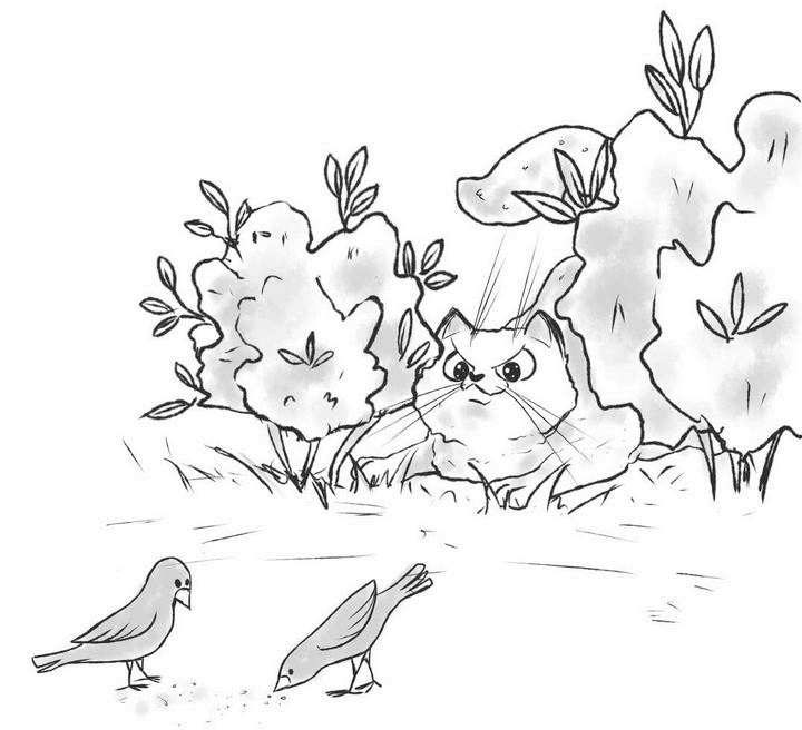 Иллюстрация к книге — На одном языке с кошкой [i_028.jpg]