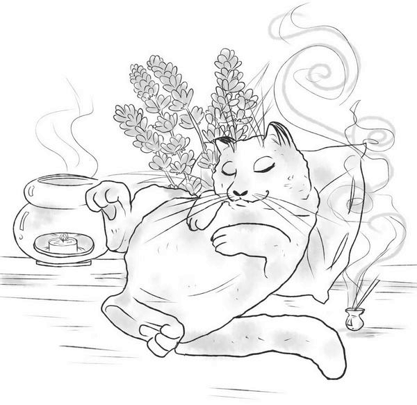 Иллюстрация к книге — На одном языке с кошкой [i_037.jpg]