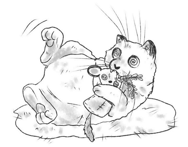 Иллюстрация к книге — На одном языке с кошкой [i_039.jpg]