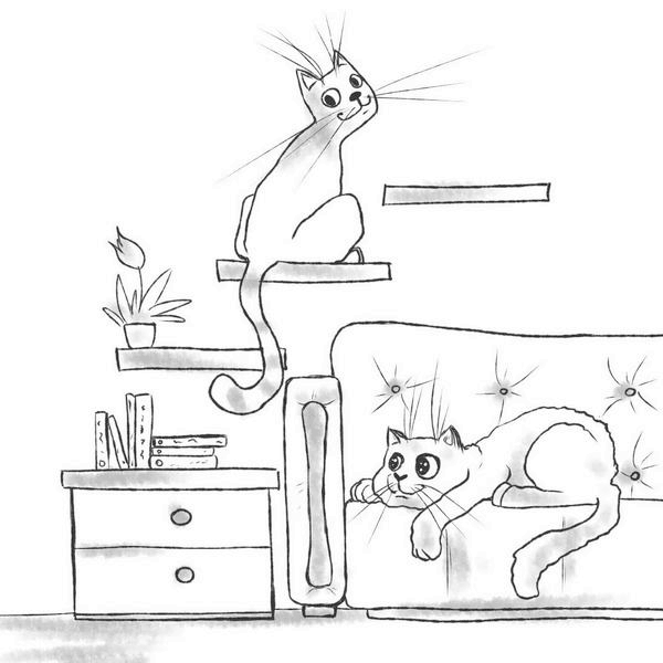 Иллюстрация к книге — На одном языке с кошкой [i_043.jpg]