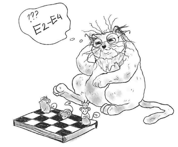 Иллюстрация к книге — На одном языке с кошкой [i_048.jpg]