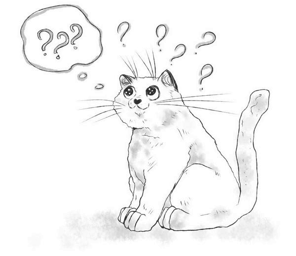 Иллюстрация к книге — На одном языке с кошкой [i_050.jpg]