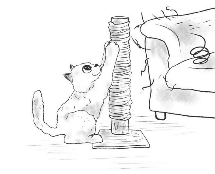 Иллюстрация к книге — На одном языке с кошкой [i_059.jpg]