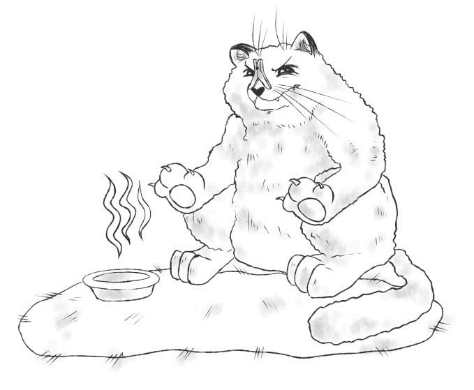 Иллюстрация к книге — На одном языке с кошкой [i_068.jpg]