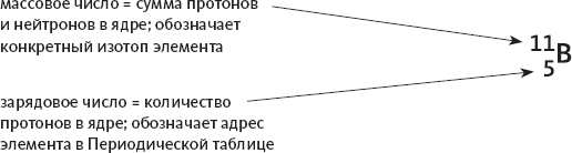 Иллюстрация к книге — Химия навсегда. О гороховом супе, опасности утреннего кофе и пробе мистера Марша [i_006.jpg]