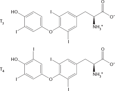 Иллюстрация к книге — Химия навсегда. О гороховом супе, опасности утреннего кофе и пробе мистера Марша [i_027.jpg]
