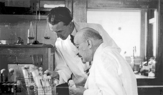 Иллюстрация к книге — Химия навсегда. О гороховом супе, опасности утреннего кофе и пробе мистера Марша [i_033.jpg]