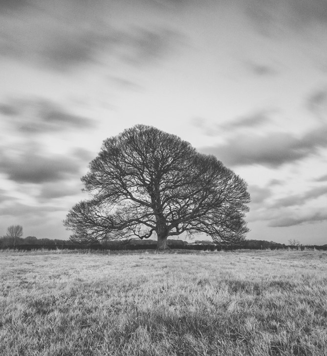 Иллюстрация к книге — Жизнь на нашей планете. Мое предупреждение миру на грани катастрофы [i_001.jpg]