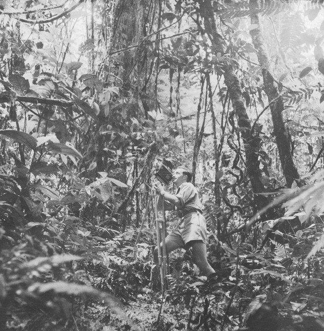 Иллюстрация к книге — Жизнь на нашей планете. Мое предупреждение миру на грани катастрофы [i_004.jpg]