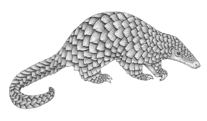 Иллюстрация к книге — Жизнь на нашей планете. Мое предупреждение миру на грани катастрофы [i_005.jpg]