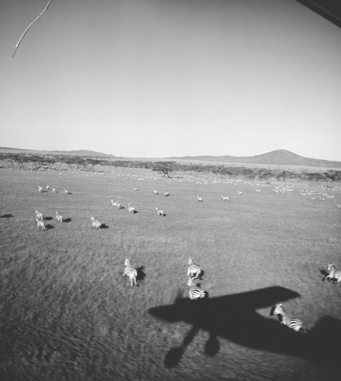 Иллюстрация к книге — Жизнь на нашей планете. Мое предупреждение миру на грани катастрофы [i_006.jpg]