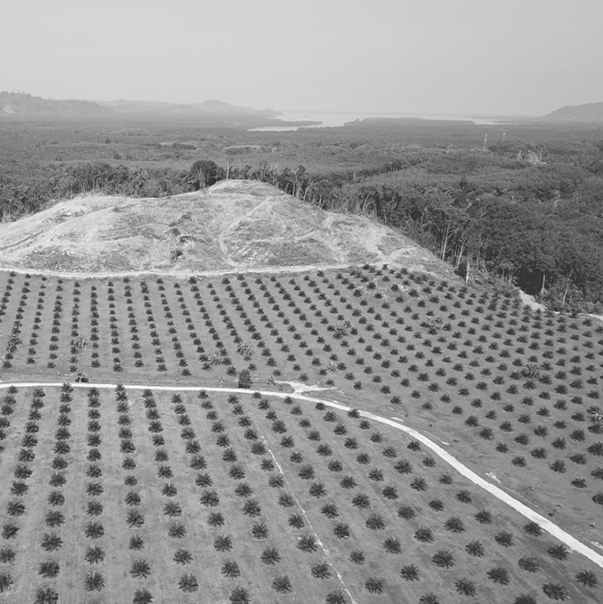 Иллюстрация к книге — Жизнь на нашей планете. Мое предупреждение миру на грани катастрофы [i_015.jpg]