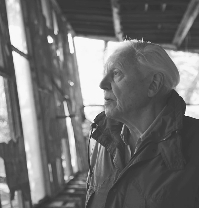 Иллюстрация к книге — Жизнь на нашей планете. Мое предупреждение миру на грани катастрофы [i_020.jpg]