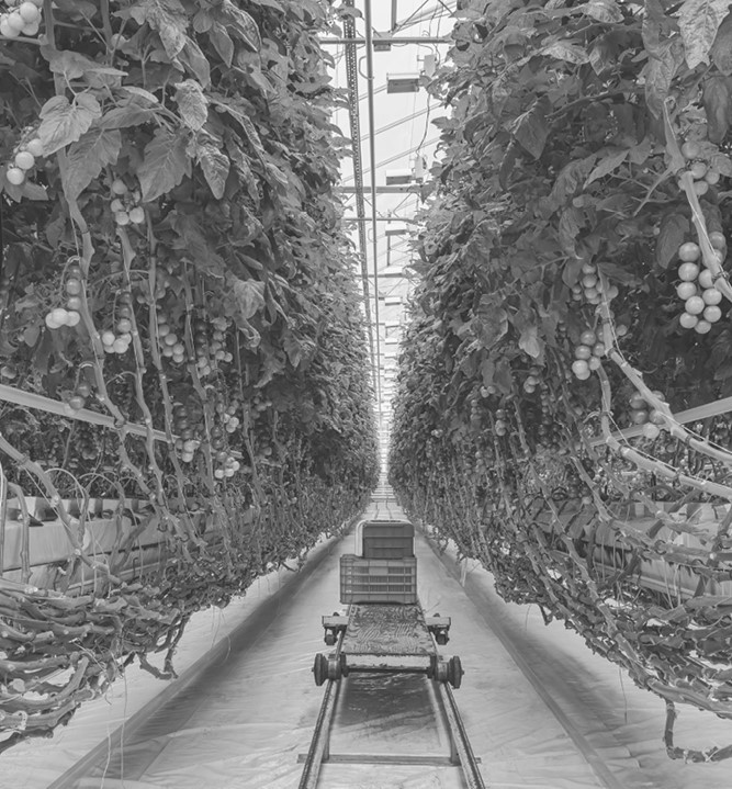 Иллюстрация к книге — Жизнь на нашей планете. Мое предупреждение миру на грани катастрофы [i_028.jpg]