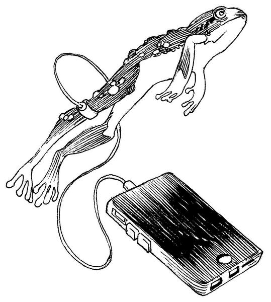 Иллюстрация к книге — Особняк с привидениями. Том 4. Последний путь [i_009.jpg]