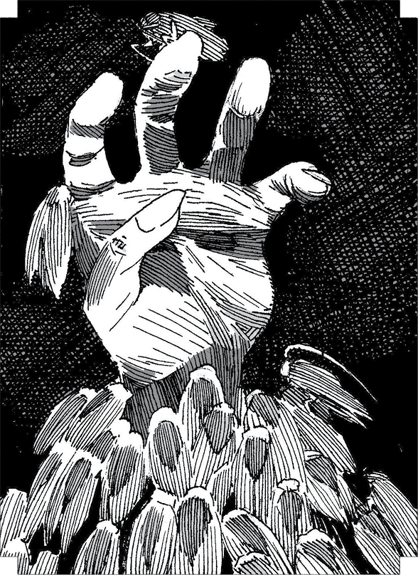 Иллюстрация к книге — Особняк с привидениями. Том 2. Полночь у мадам Леоты [i_025.jpg]