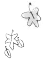 Иллюстрация к книге — Подорожник [i_037.jpg]