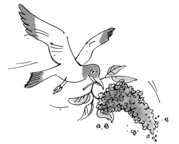 Иллюстрация к книге — Подорожник [i_041.jpg]