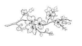 Иллюстрация к книге — Ворону не к лицу кимоно [i_006.jpg]