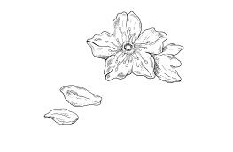 Иллюстрация к книге — Ворону не к лицу кимоно [i_013.jpg]