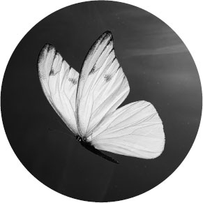 Иллюстрация к книге — Становясь Лейдой [i_001.jpg]